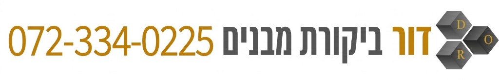 דור בדק בית לוגו